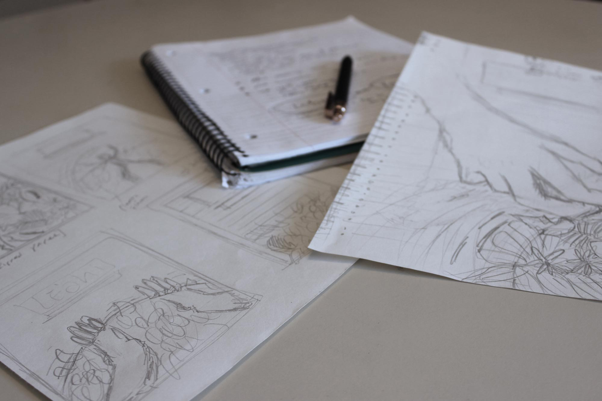 A photo of different sketch concepts